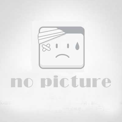 （Bixelangelo）绘图软件官方破解版