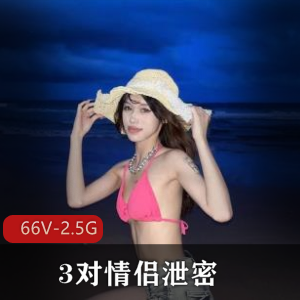3对情侣泄密！ [66V-2.5G]