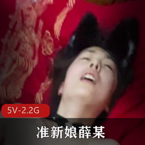 虎皮折耳猫-合集[17V-1.4G]